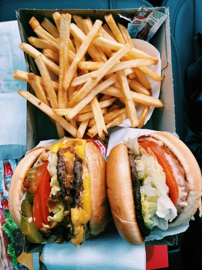 two hamburgers and french fries in a box, a picture, by Carey Morris, unsplash, 💋 💄 👠 👗, it's californication, snapchat photo, adult pair of twins
