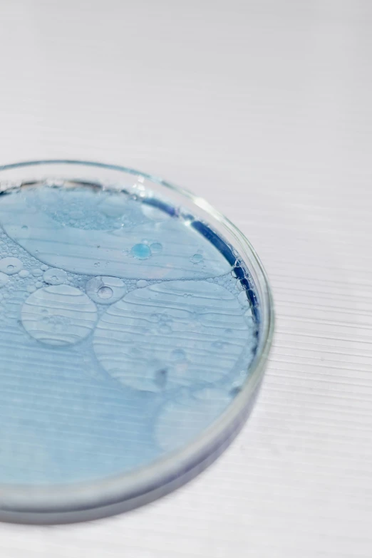 a close up of a petri dish on a table, blue skin, detailed product image, botanicals, panels