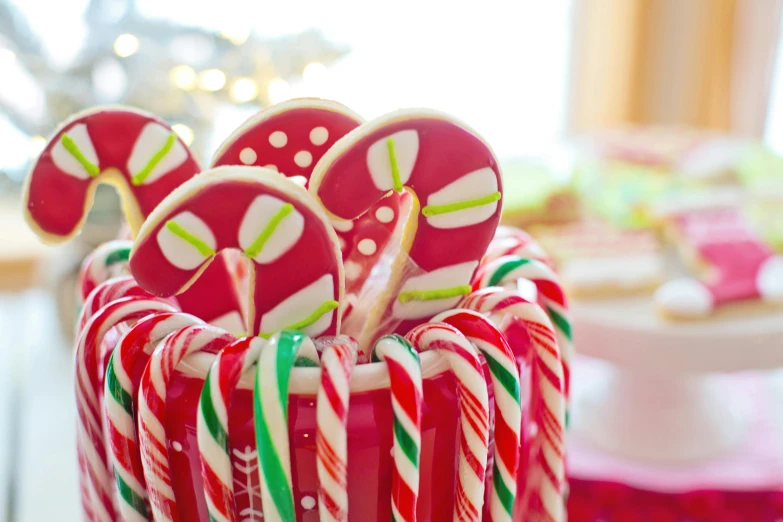 a close up of a candy cane on a table