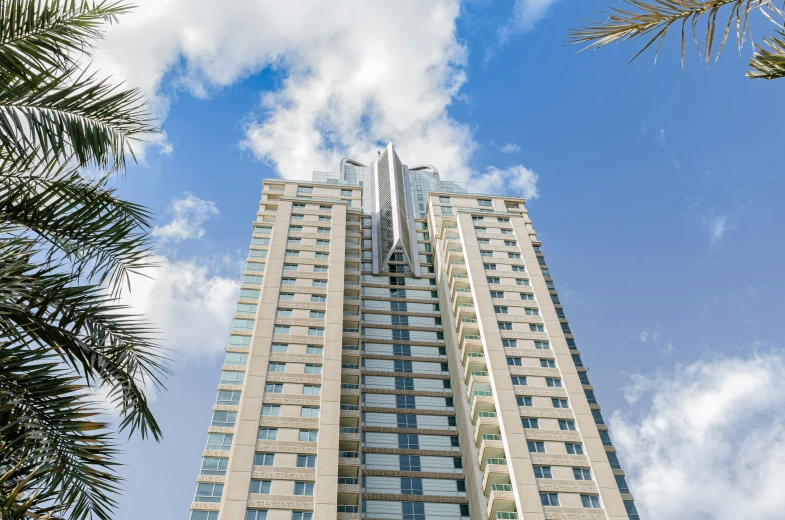 a tall building sitting next to a palm tree, slide show, ivory towers, city views, exterior shot