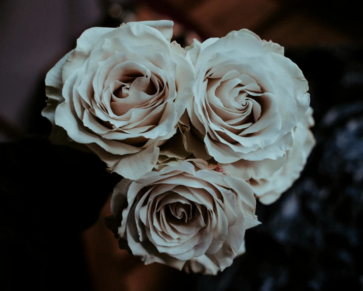 a person holding a bunch of white roses, inspired by Elsa Bleda, pexels contest winner, dark hues, grey, rule of three, well preserved