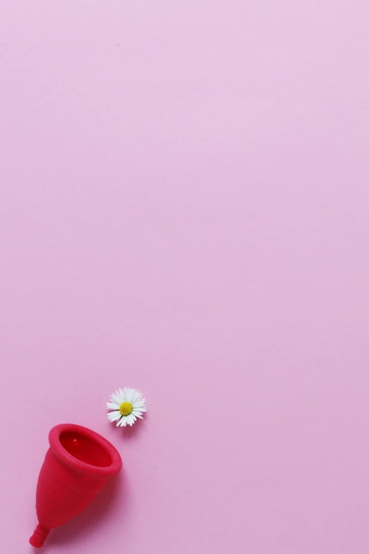 a cup of coffee and a flower on a pink background, by Leo Leuppi, trending on pexels, minimalism, red shoes, daisy, 15081959 21121991 01012000 4k, clemens ascher