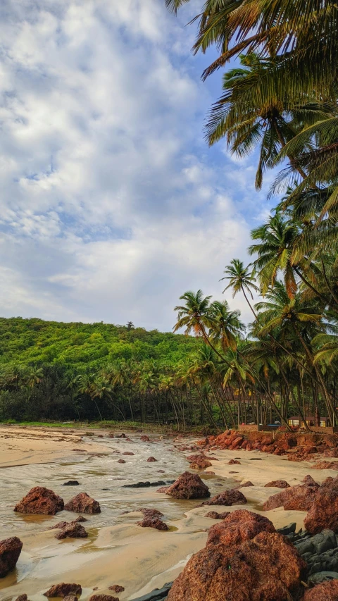 a sandy beach with rocks and palm trees, lush green forest, vastayan, thumbnail, exterior shot