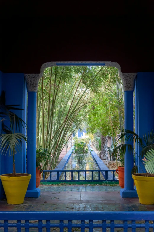 a blue and yellow porch with potted plants, inspired by Riad Beyrouti, walking in a bamboo forest, looking out, las pozas, promo image