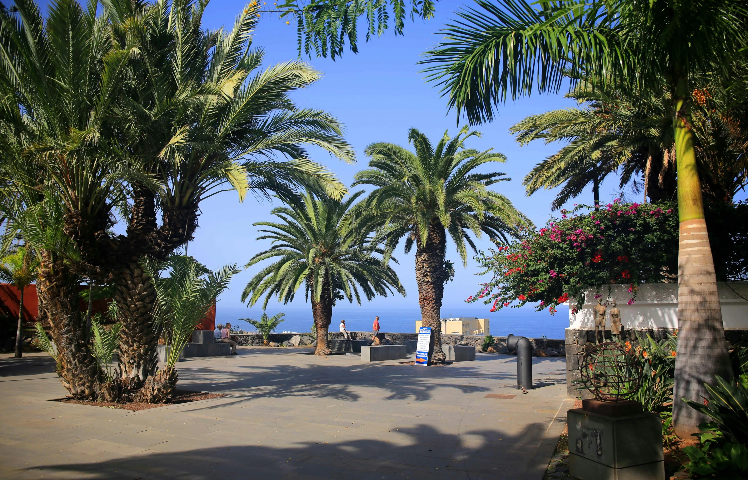 a street lined with palm trees next to the ocean, garden with fruits on trees, square, victoria siemer, no cropping