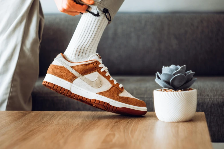 a man standing on top of a wooden table next to a plant, trending on pexels, nike air max, dunking, brown and white color scheme, japanese collection product