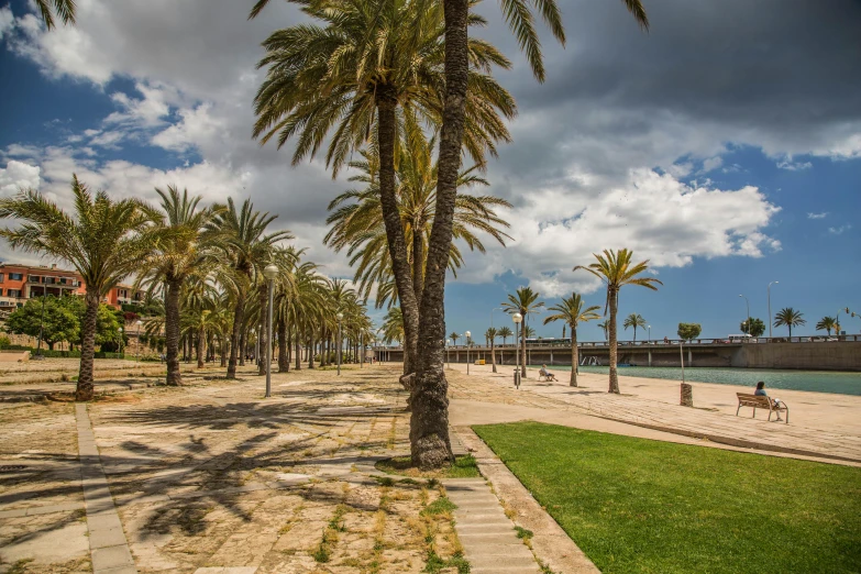 the beach is lined with palm trees and benches, by Carlo Carrà, les nabis, profile image