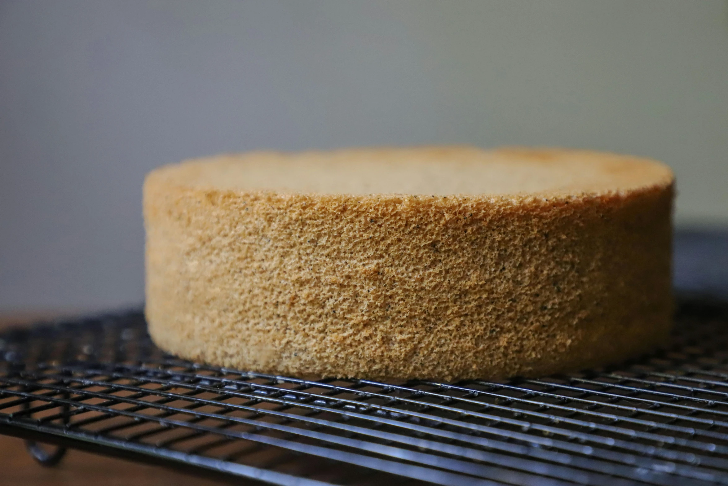 a cake sitting on top of a cooling rack, a stipple, by Yasushi Sugiyama, unsplash, on textured disc base, thick lining, blond, tall