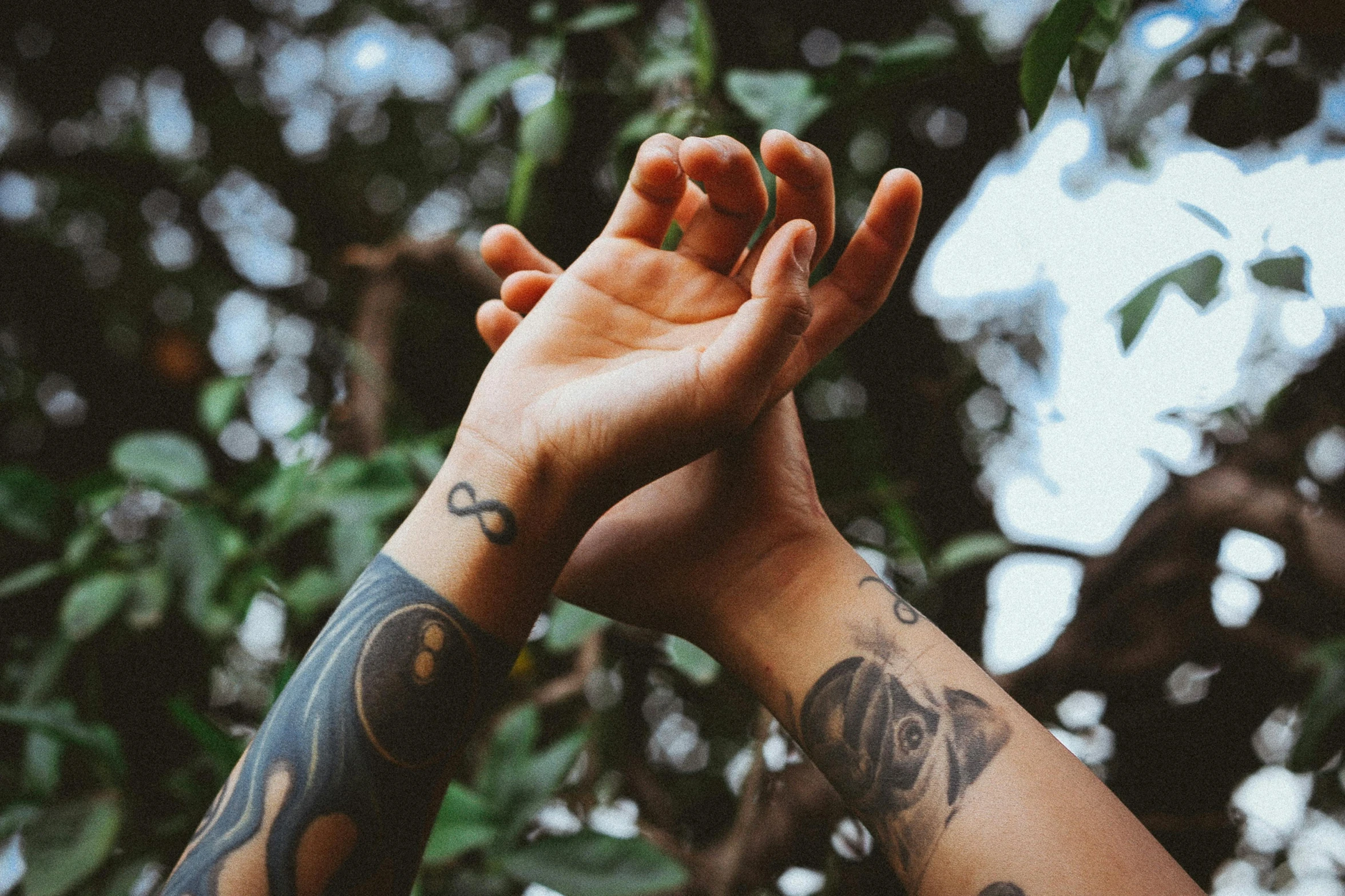 a close up of a person's arm with tattoos, trending on pexels, symbolism, amongst foliage, love is infinity, background image, two arms