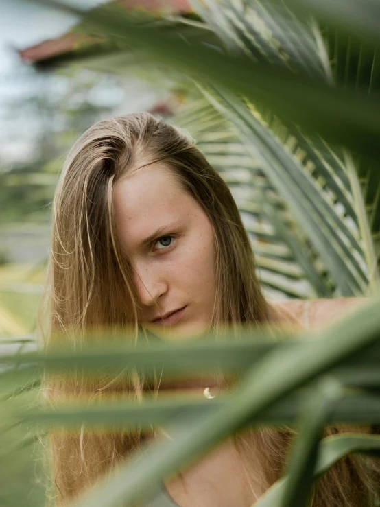 a beautiful young woman standing next to a palm tree, inspired by Elsa Bleda, unsplash, renaissance, blond hair green eyes, low quality photo, tropical vegetation, aurora aksnes