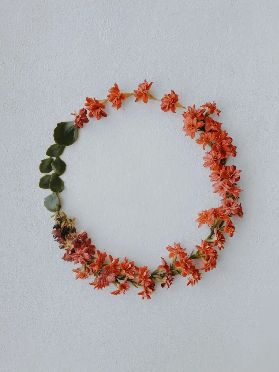 a wreath made of red flowers and green leaves, by Andrée Ruellan, toned orange and pastel pink, minimalist photorealist, covered in flame porcelain vine, sigma 55”