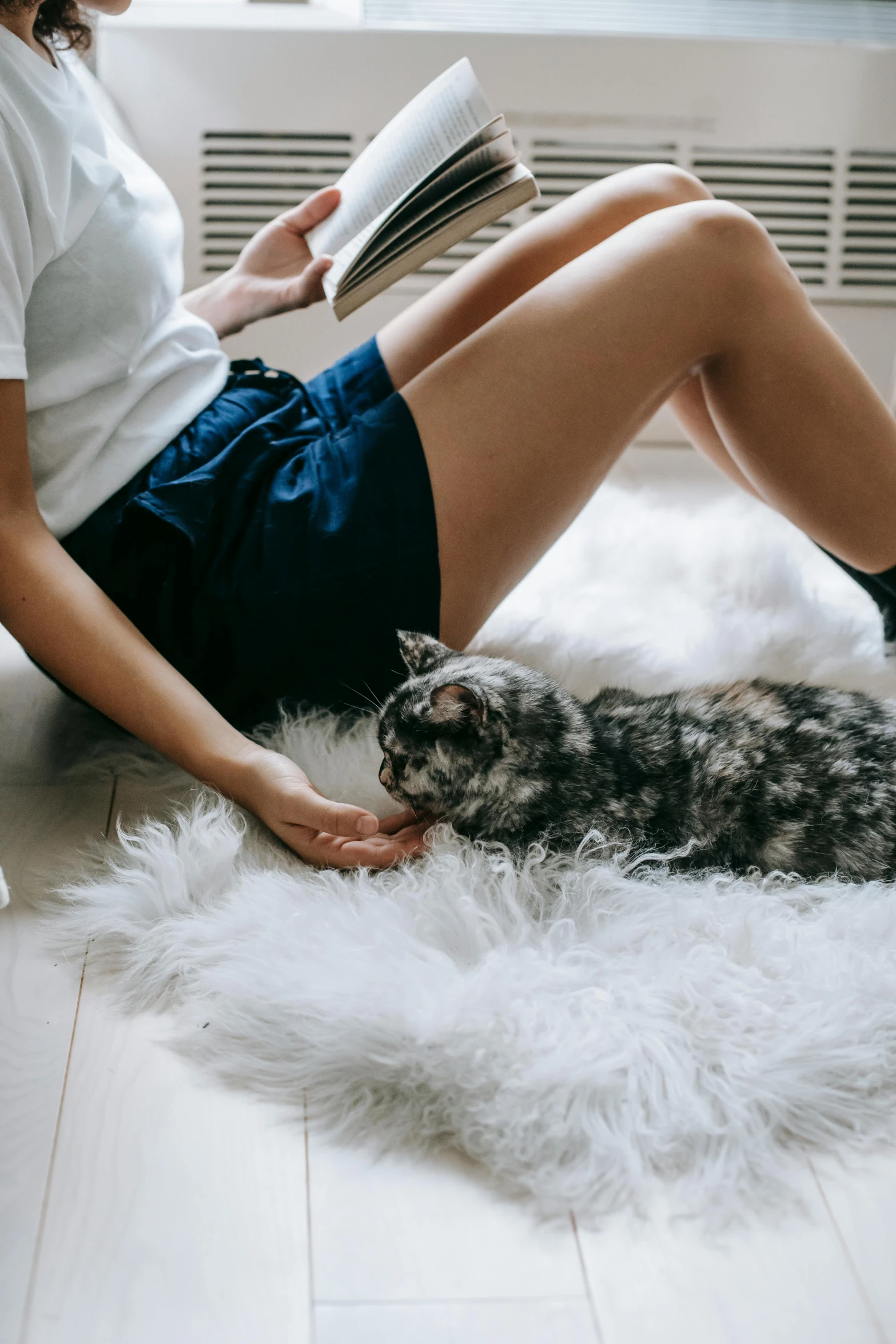 a woman sitting on the floor reading a book next to a cat, trending on pexels, synthetic fur, wearing a camisole and shorts, gray mottled skin, very comfy]