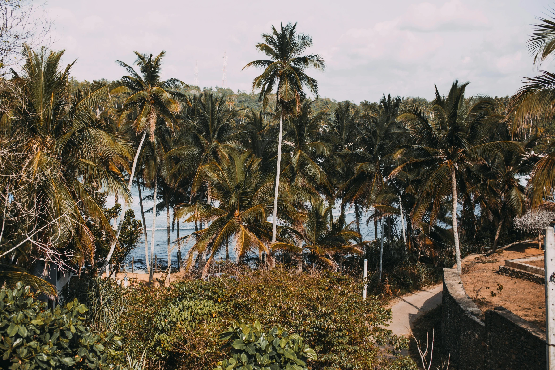 a large body of water surrounded by palm trees, pexels contest winner, hurufiyya, mami wata, overlooking, style of castaway ( film ), hideen village in the forest