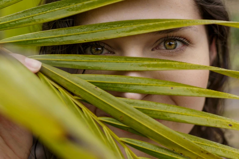 a close up of a person holding a palm leaf, emerald yellow eyes, photoshoot for skincare brand, looking outside, hiding in grass