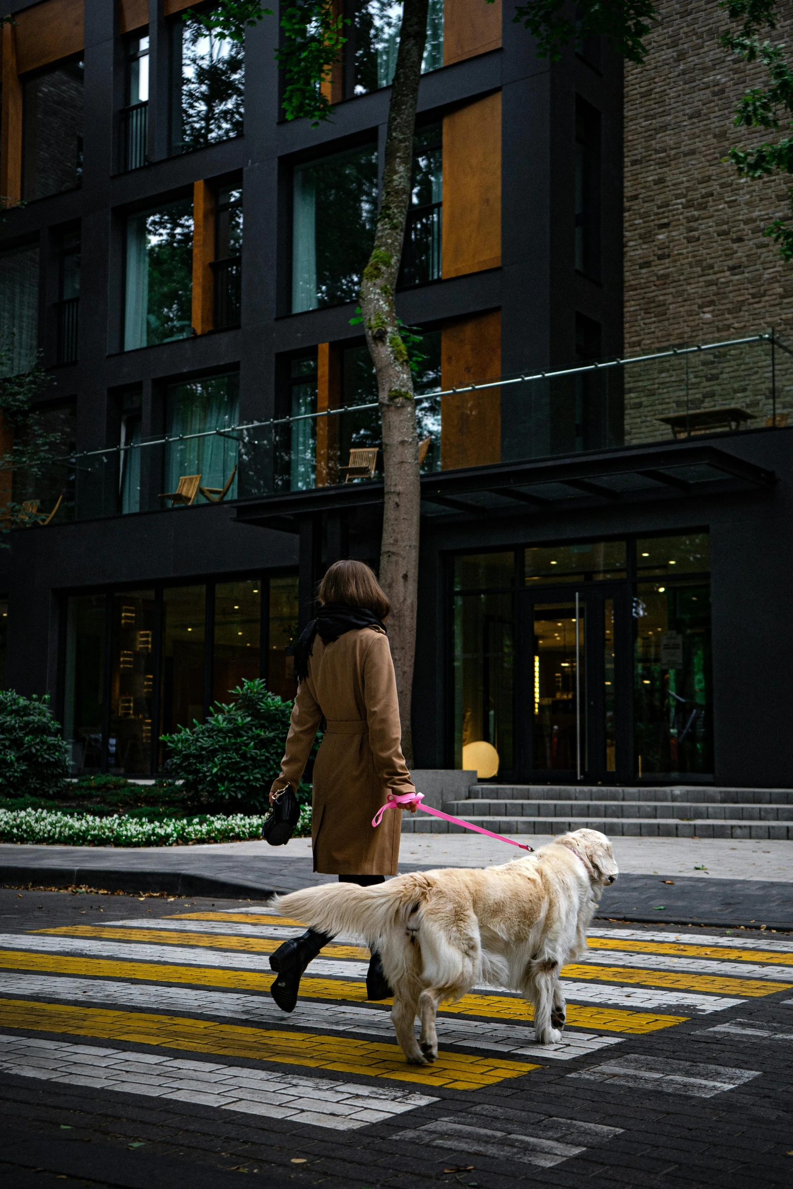 a woman walking two dogs across a street, unsplash, modernism, shanghai, apartment, labrador, square