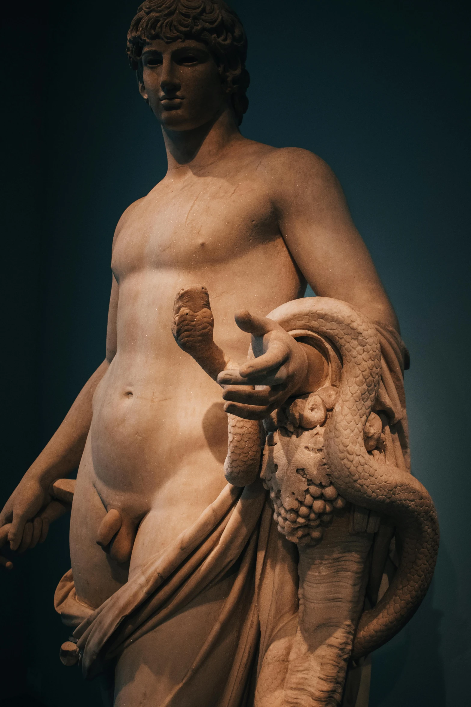 a statue of a man holding a snake, inspired by Exekias, trending on pexels, mannerism, visible stomach, demna gvasalia, lewd, 4k museum photograph