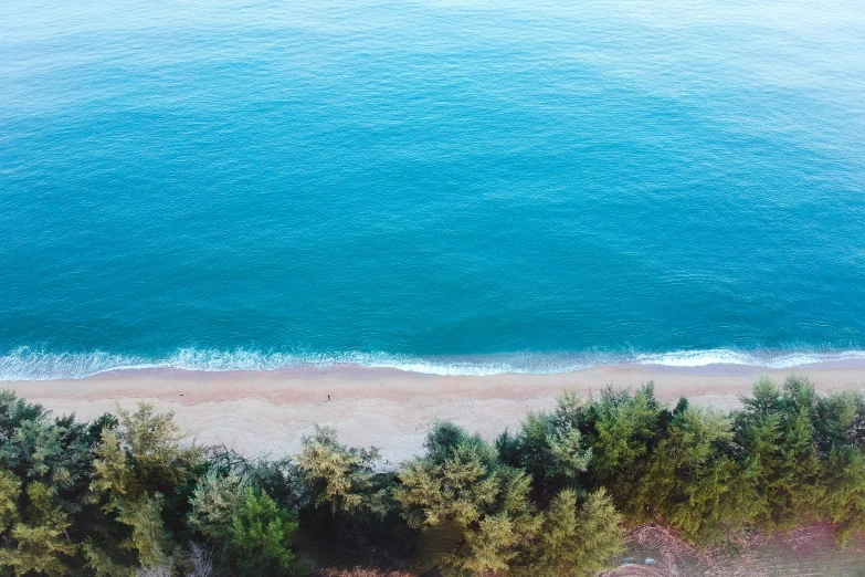 an aerial view of a beach and trees, pexels contest winner, hurufiyya, turquoise horizon, view of sea, 8k resolution”, calmly conversing 8k