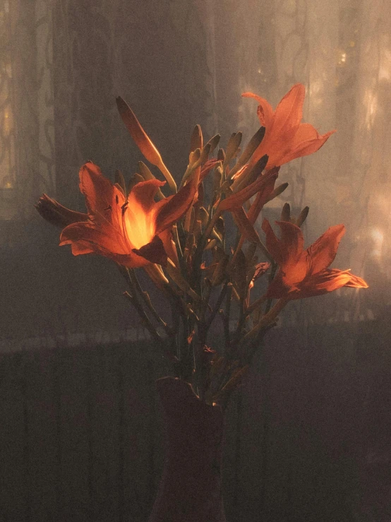 a vase that has some flowers in it, an album cover, inspired by Elsa Bleda, unsplash, romanticism, lilies, orange fog, low quality photo, grainy movie still