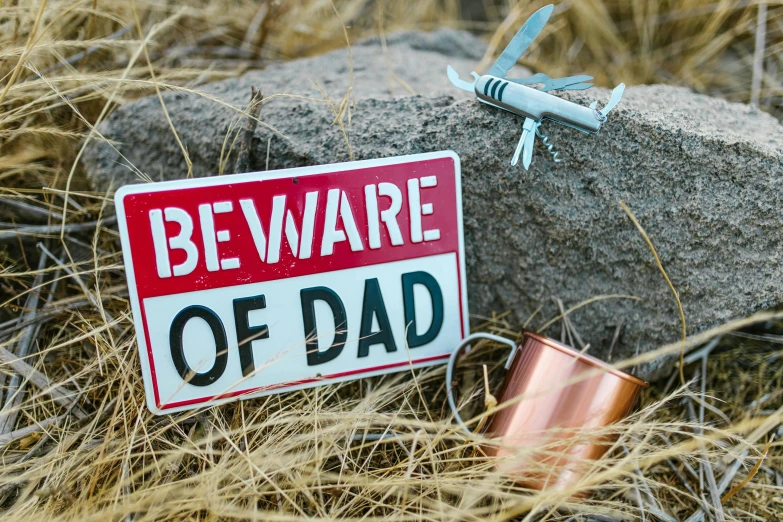 a beware of dad sign sitting on top of a pile of dry grass, pixabay, dada, makeshift weapons, avatar image, awkwardly holding red solo cup, thundra ufo crash site