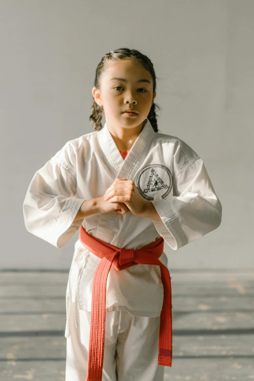 a little girl standing in a karate pose, inspired by Liao Chi-chun, trending on unsplash, large portrait, promotional image, arms crossed, private school