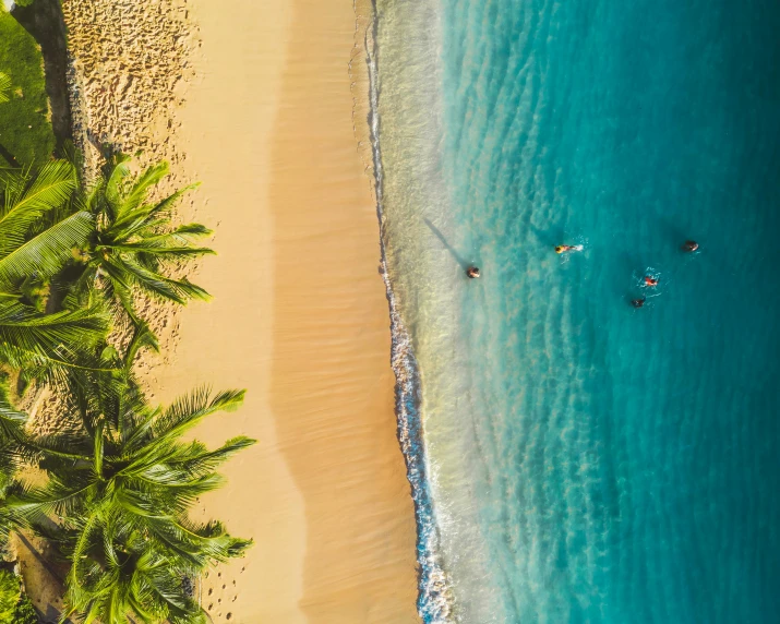 an aerial view of a beach with palm trees, pexels contest winner, hawaii beach, close together, surfing, thumbnail