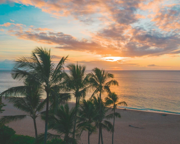 a beach at sunset with palm trees in the foreground, pexels contest winner, renaissance, overlooking the ocean, kauai springtime, flatlay, multiple stories