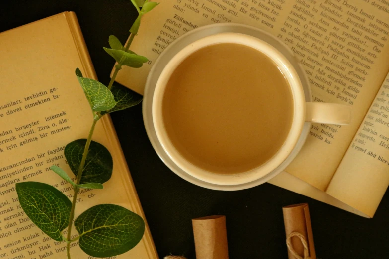 a cup of coffee sitting on top of an open book, a still life, by Sylvia Wishart, pexels contest winner, renaissance, assam tea garden setting, beige mist, cardboard, 15081959 21121991 01012000 4k