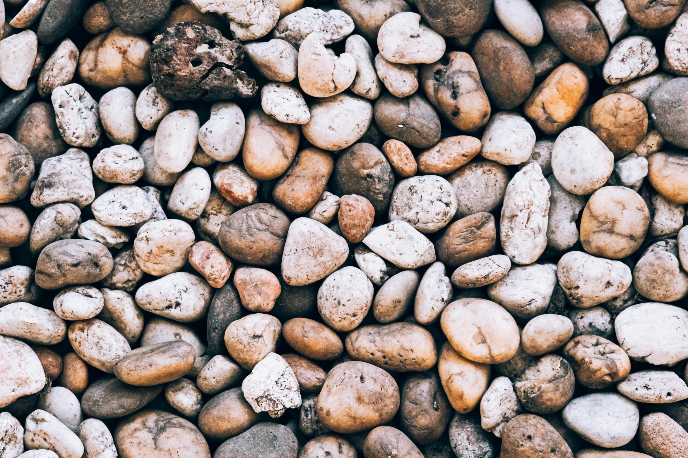 a pile of rocks sitting next to each other, an album cover, unsplash, background image, beans, ((rocks)), gradient brown to white