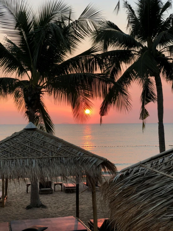 a couple of umbrellas sitting on top of a sandy beach, during a sunset, coconut trees, profile image, multiple stories