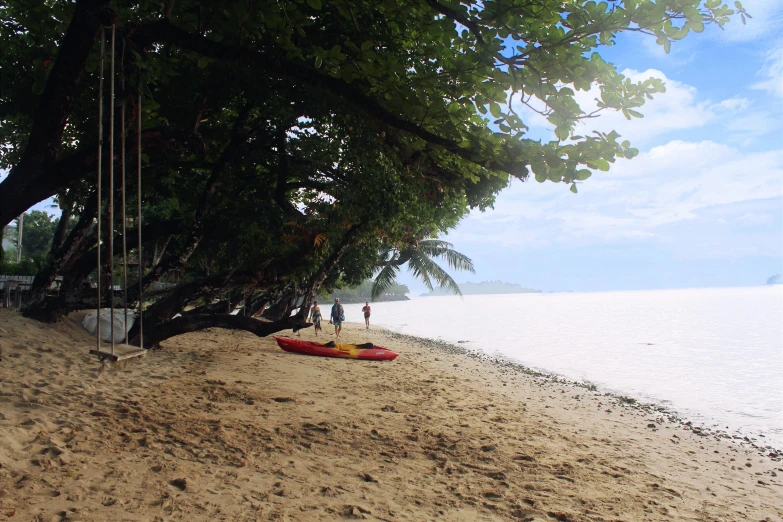 a red kayak sitting on top of a sandy beach, tawa trees, avatar image, conde nast traveler photo