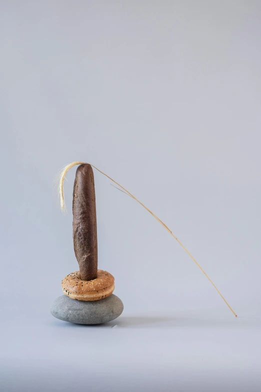 a cigar sitting on top of a rock, an abstract sculpture, inspired by Isamu Noguchi, pulling strings, seeds, 奈良美智, brancusi