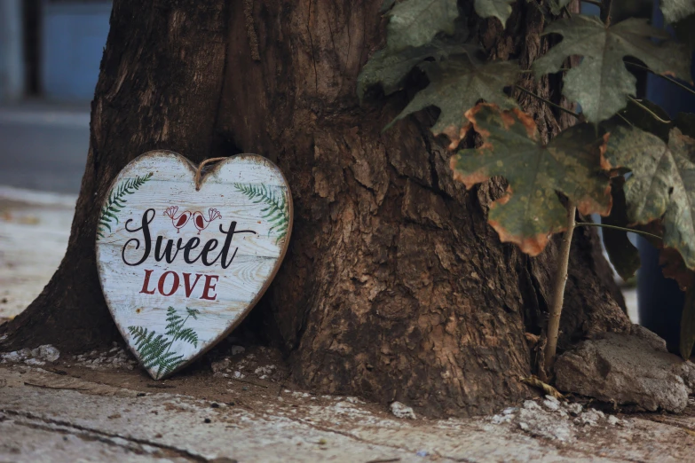 a wooden sign that says sweet love next to a tree, by Sylvia Wishart, pexels contest winner, 🎀 🗡 🍓 🧚, magic heart, medium format. soft light, avatar image