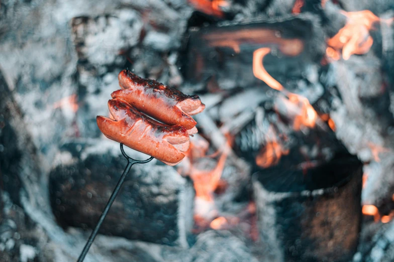 a bunch of hot dogs that are on a stick, by Emma Andijewska, unsplash, art nouveau, camp fire, salmon, “ iron bark, 🚿🗝📝