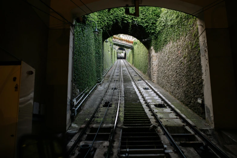 a train traveling down train tracks through a tunnel, inspired by Thomas Struth, pexels contest winner, green alleys, bizzaro, seen from below, ap