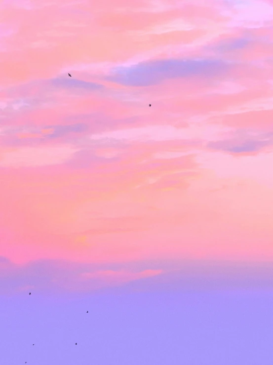 there are a lot of birds flying in the sky, a digital painting, by Matteo Pérez, pexels contest winner, pink sunset hue, pastel simple art, # nofilter, ☁🌪🌙👩🏾