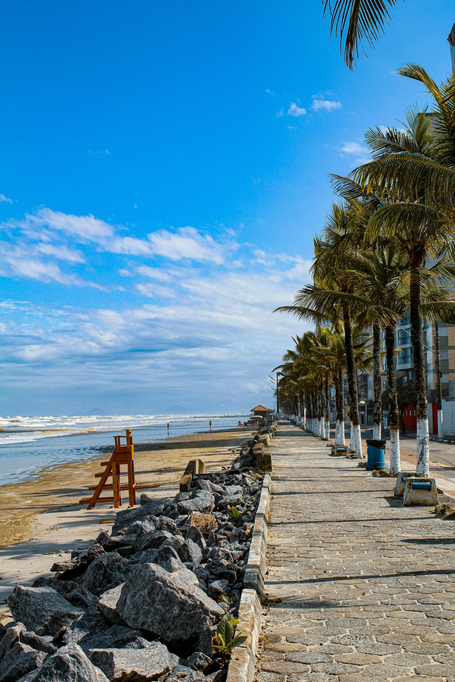 a street lined with palm trees next to the ocean, by Luis Miranda, slide show, peru, square, 8 k 4 k