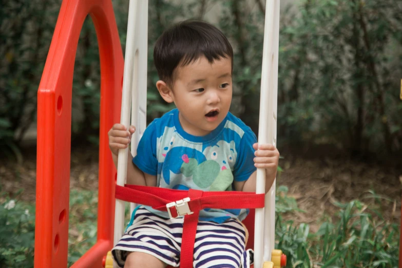 a little boy that is sitting on a swing, inspired by Liang Kai, pexels contest winner, looking towards camera, harness, avatar image, high resolution photo