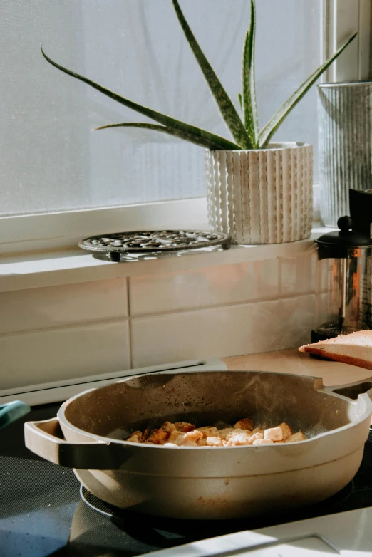 a pot sitting on top of a stove next to a window, pexels contest winner, ingredients on the table, sustainable materials, salmon, pasta