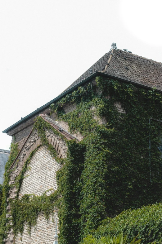 a building with ivy growing on the side of it, an album cover, inspired by Johann Rudolf Byss, unsplash, romanesque, vegetated roofs, marilyn church h, 1999 photograph, detail structure