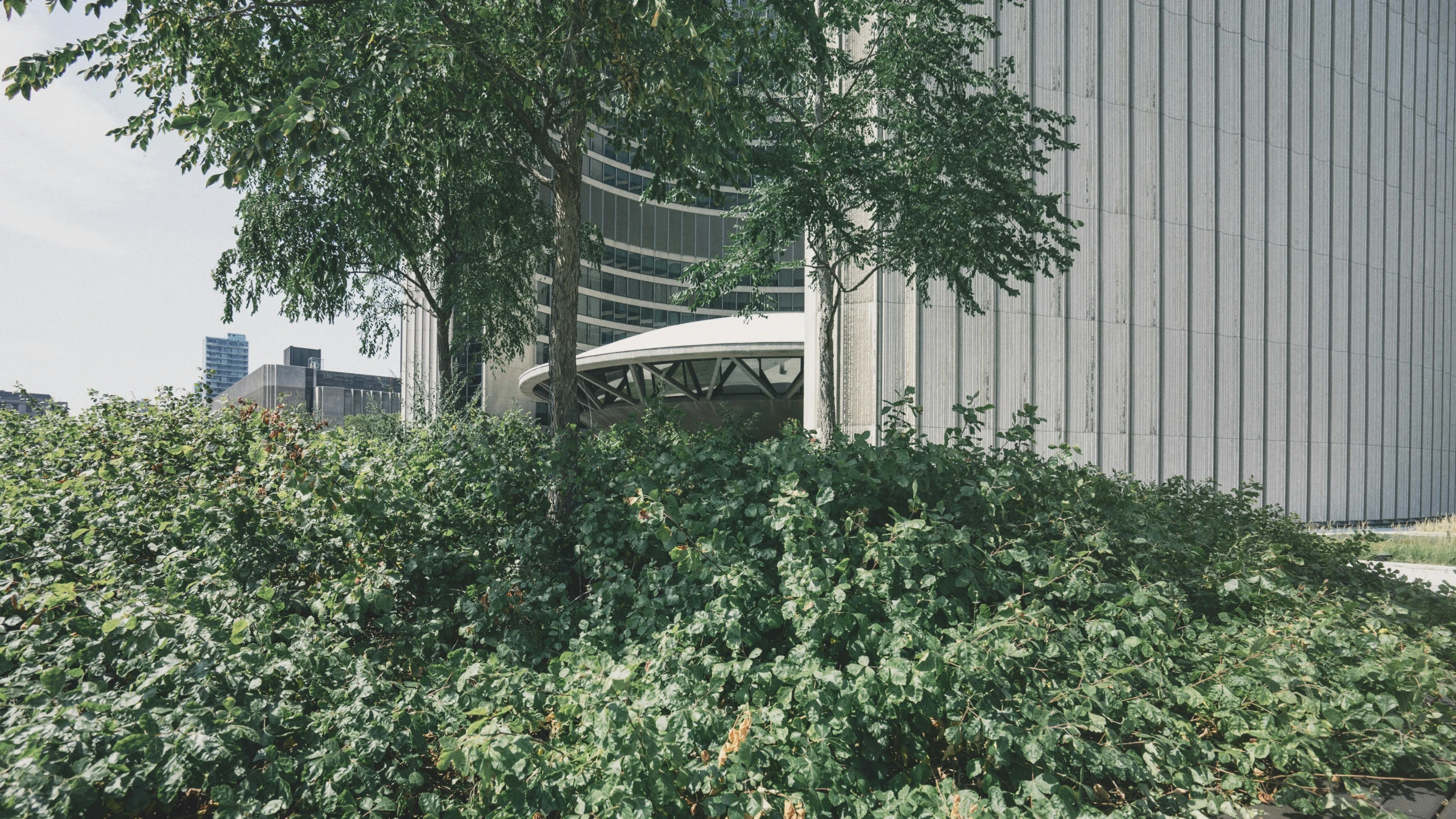 a white chair sitting on top of a bush next to a building, inspired by Thomas Struth, unsplash, brutalism, curved trees, canopy, canary wharf, post-processing. high detail