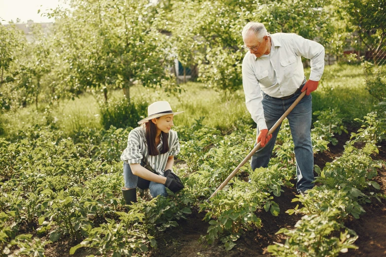 a man and a woman working in a garden, instagram picture, item, thumbnail, medium