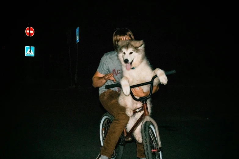 a person riding a bike with a dog on the back, an album cover, unsplash, realism, yung lean, night realism, husky, ignant