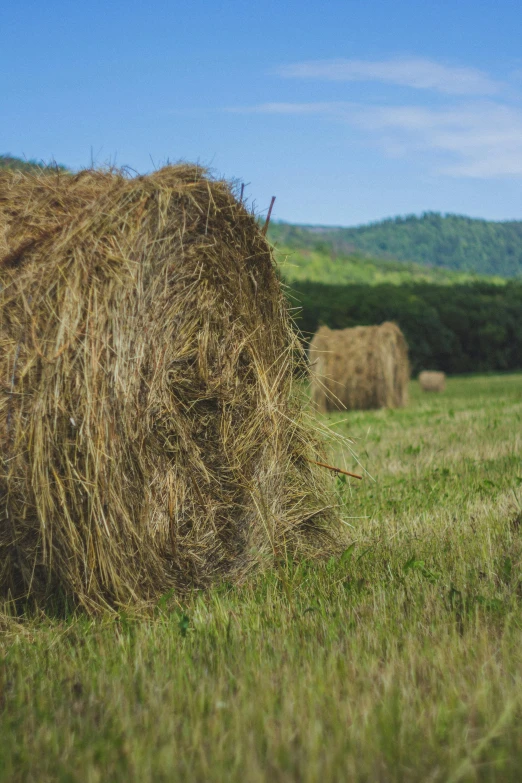 a bunch of hay sitting on top of a lush green field, profile image