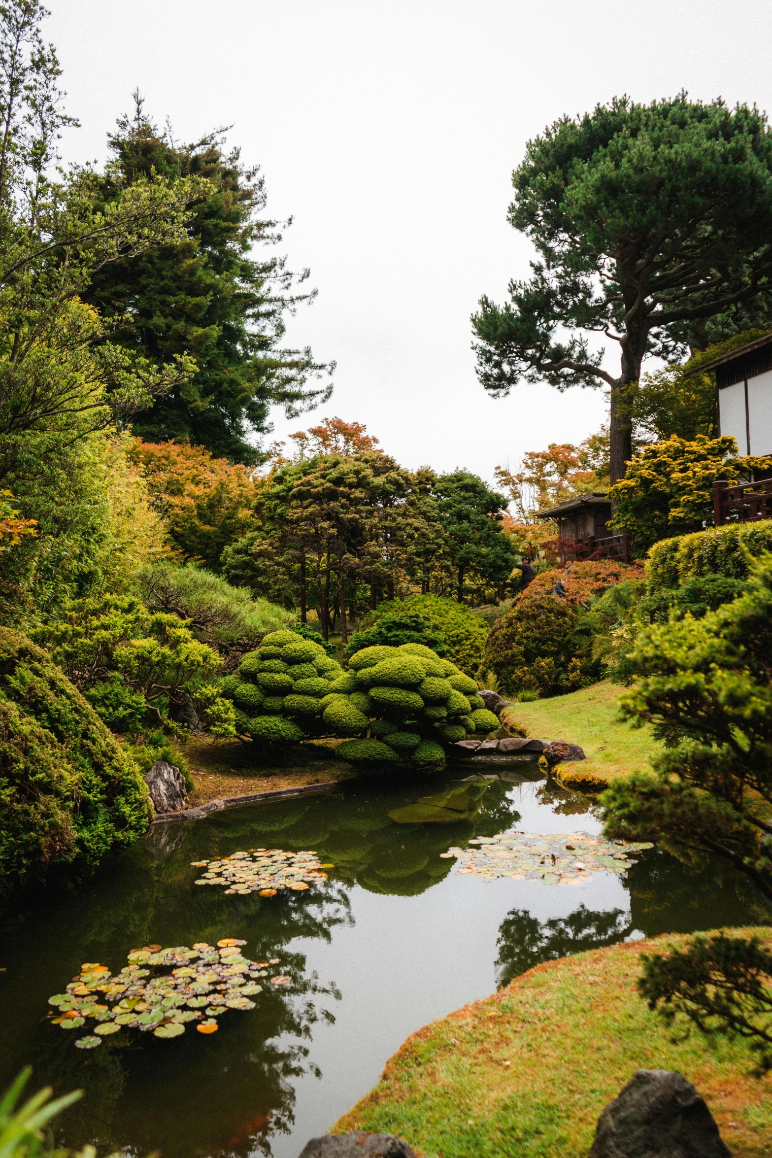 there is a pond in the middle of the garden, inspired by Tōshi Yoshida, unsplash, san francisco, 8 k smooth