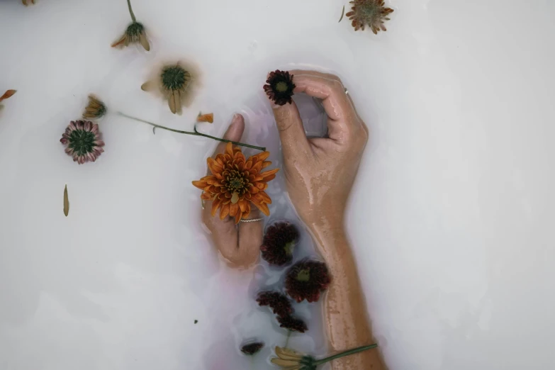 a person taking a bath with flowers in it, pexels contest winner, process art, holding it out to the camera, promo image, of letting go, instagram photo