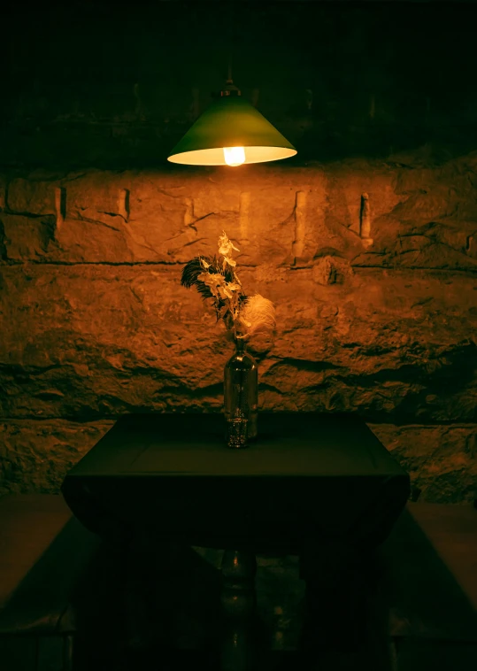 a vase of flowers sitting on top of a table, an album cover, inspired by Elsa Bleda, realism, dimly lit underground dungeon, emerging from a lamp, high quality photo, hidden area