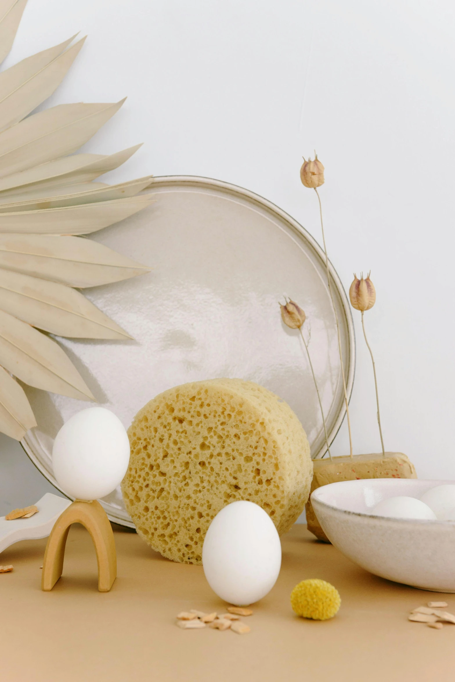 a bunch of items that are sitting on a table, a still life, sponge, sustainable materials, soft oval face, full product shot