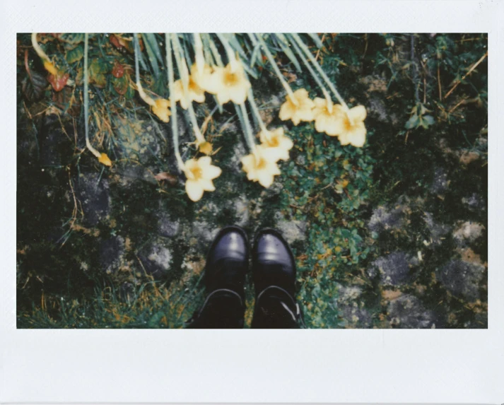 a person standing in front of a bunch of flowers, a polaroid photo, unsplash, postminimalism, doc marten boots, standing in a grotto, yellow flowers, outside on the ground