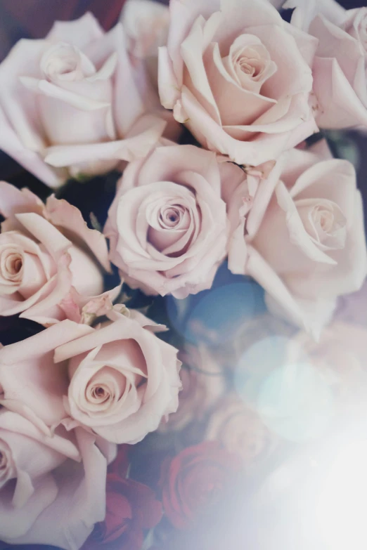 a bunch of pink roses sitting on top of a table, a digital rendering, inspired by Rose O’Neill, trending on unsplash, romanticism, delicate soft hazy lighting, silver and muted colors, flashing lights, low - angle shot