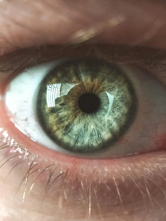 a close up of a person's green eye, a macro photograph, trending on unsplash, eyes). full body, trending on vsco, light gray eyes, extremely hyperdetailed